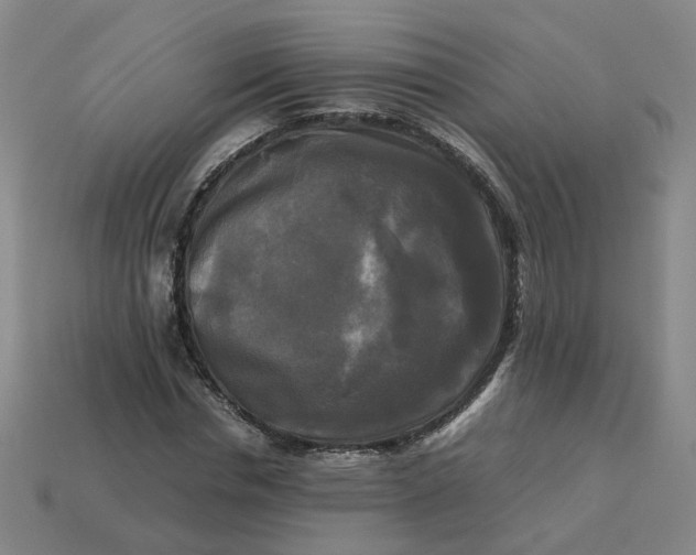 X0000113250826200910011344