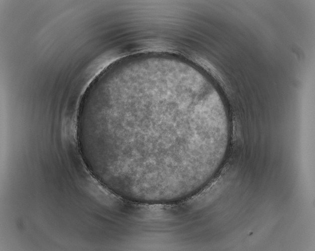 X0000113250828200910011344