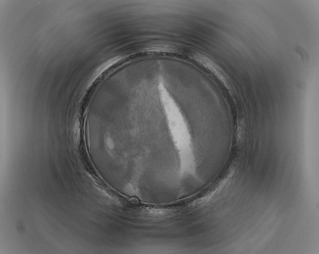 X0000113250829200910011344