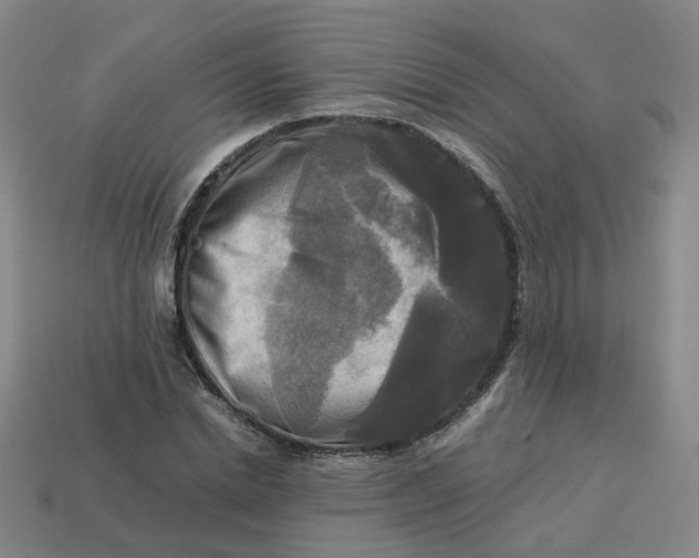 X0000113250830200910011344