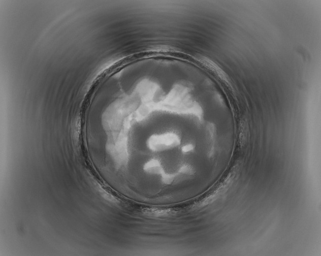 X0000113250831200910011344