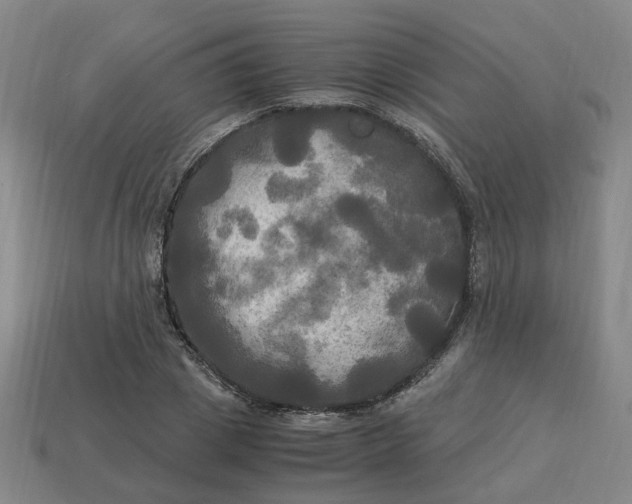 X0000113250833200910011344