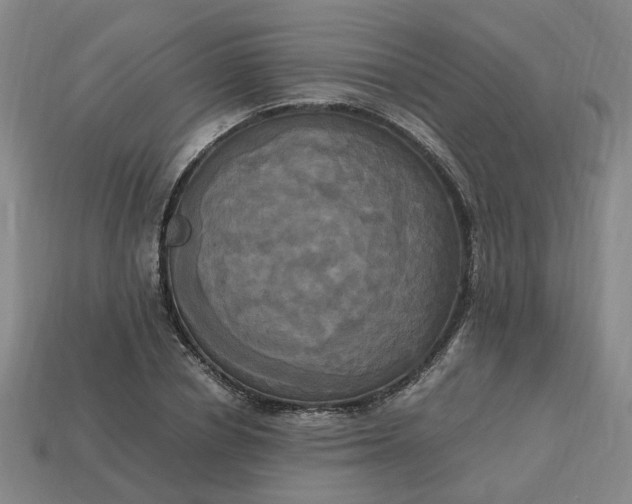 X0000113250834200910011344