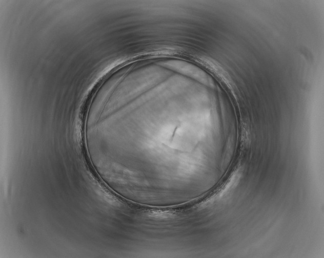 X0000113250835200910011344