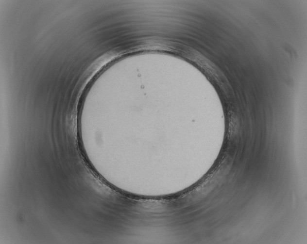 X0000113250836200910011344