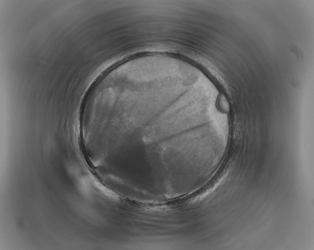 X0000113250837200910011344