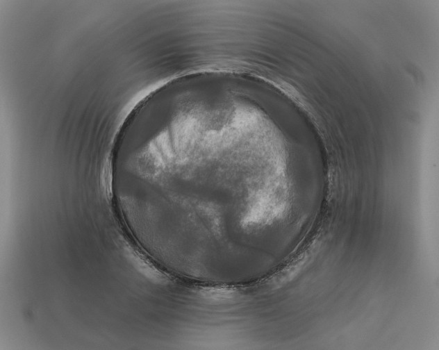 X0000113250838200910011344