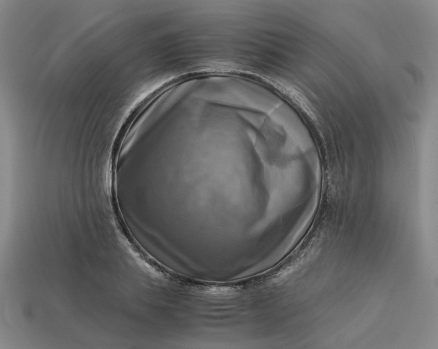 X0000113250839200910011344