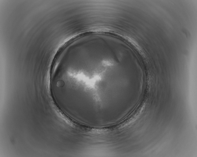 X0000113250840200910011344