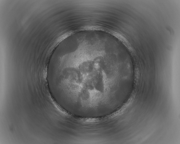 X0000113250841200910011344