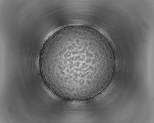 X0000113250842200910011344