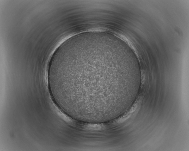 X0000113250843200910011344