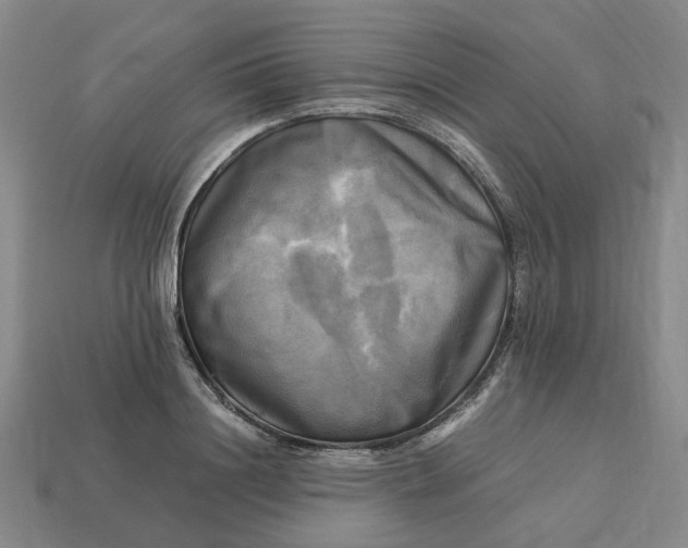 X0000113250844200910011344