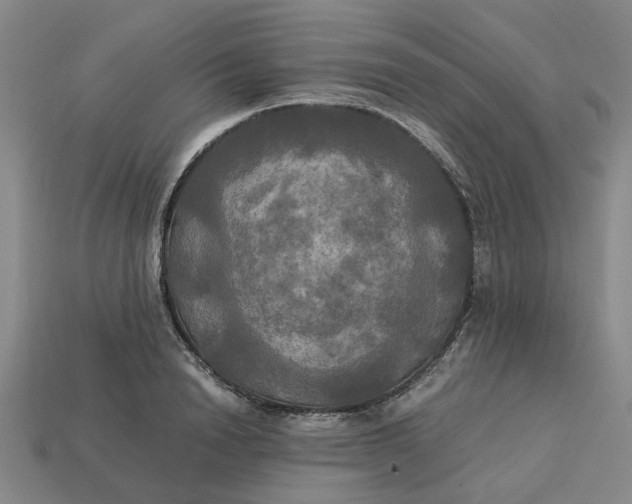 X0000113250846200910011345