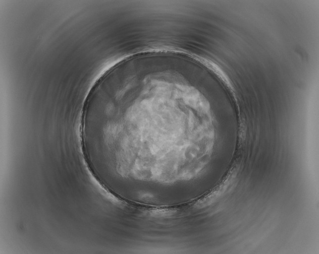 X0000113250847200910011345