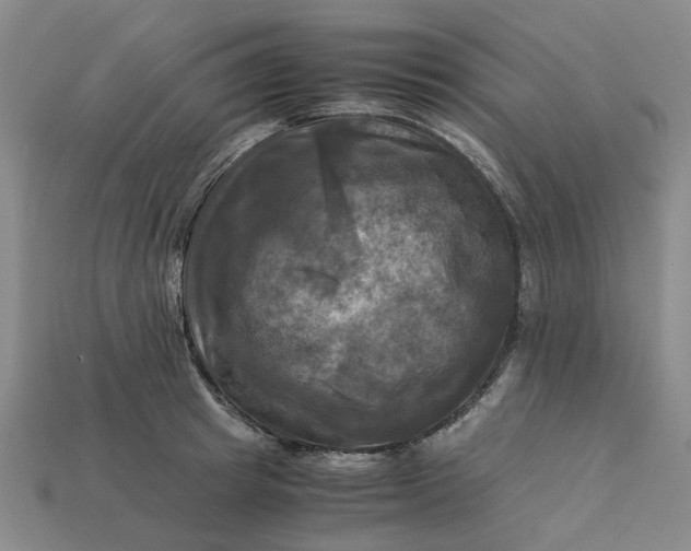 X0000113250849200910011345