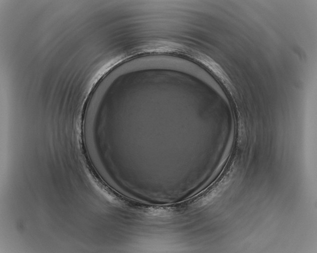 X0000113250850200910011345