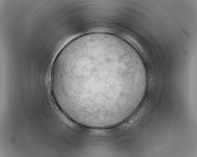 X0000113250852200910011345