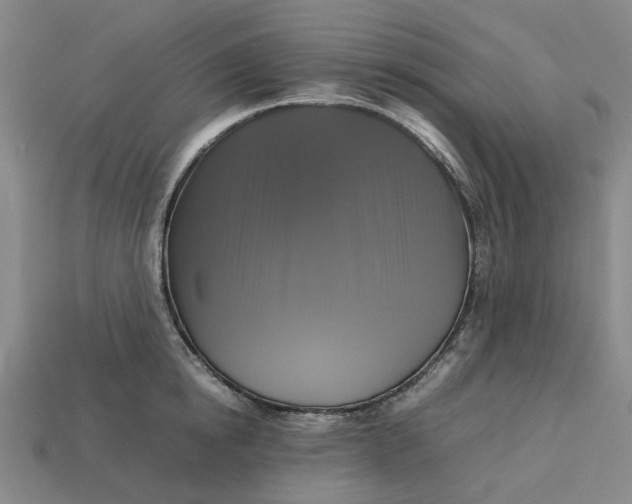 X0000113250854200910011345