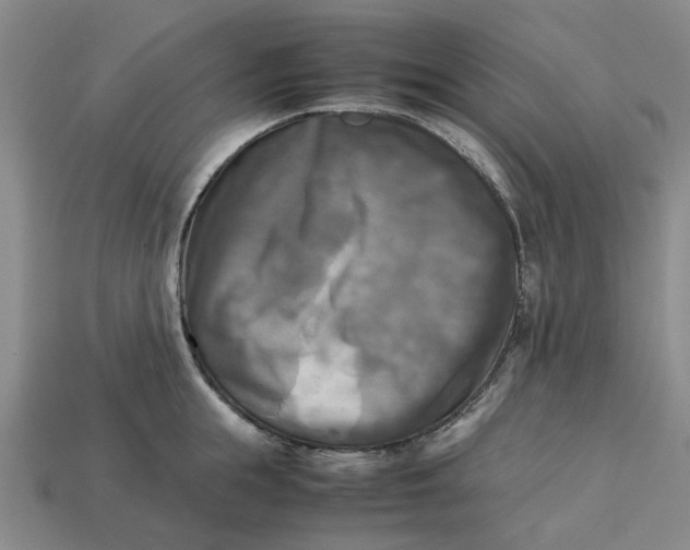 X0000113250855200910011345