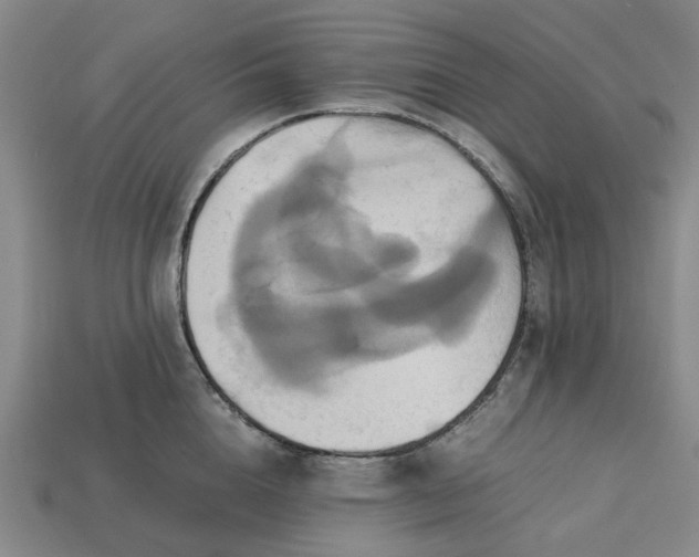 X0000113250856200910011345