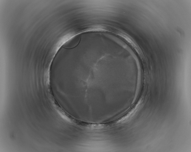 X0000113250858200910011345