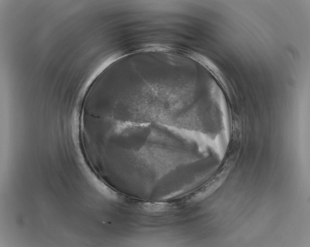 X0000113250859200910011345