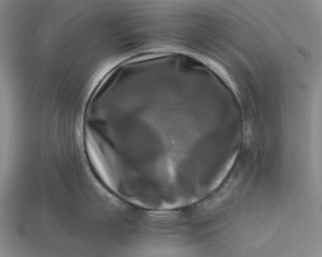 X0000113250863200910011345