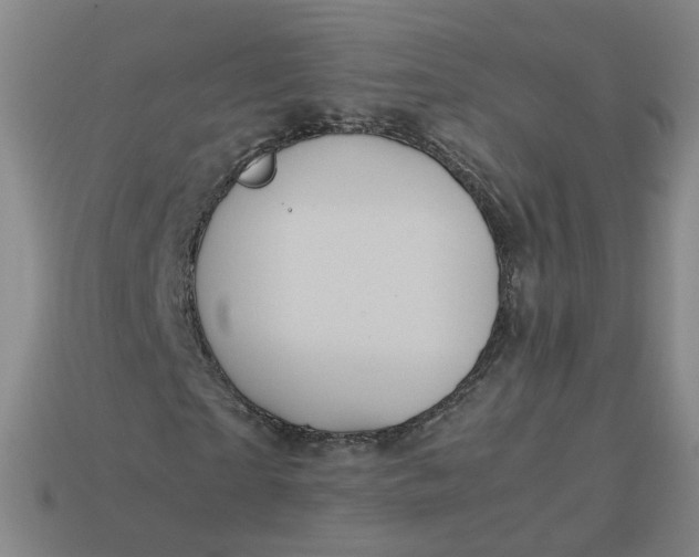 X0000113250865200910011344