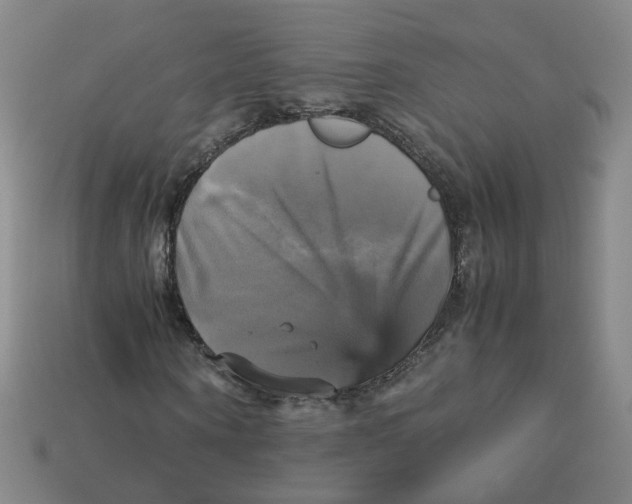 X0000113250866200910011344