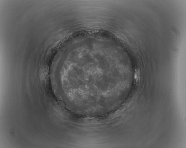 X0000113250867200910011344