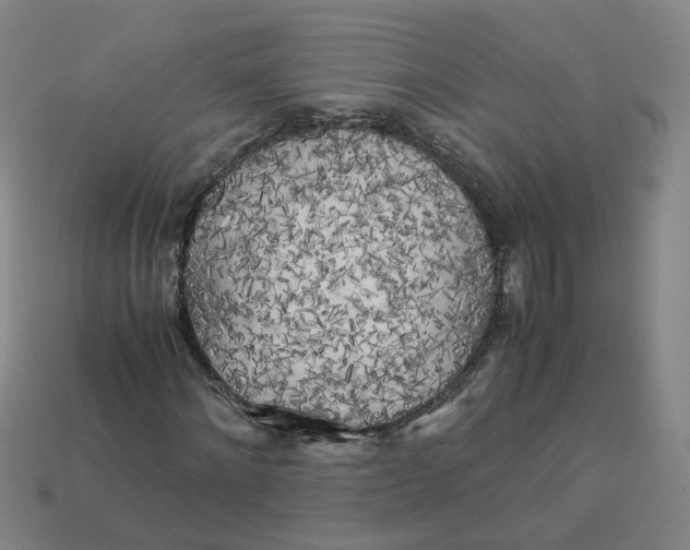 X0000113250868200910011344