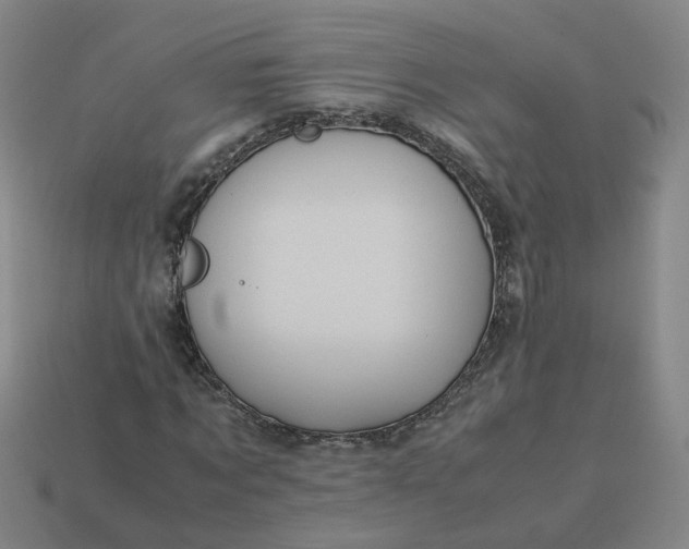 X0000113250869200910011344