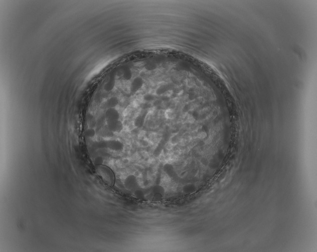 X0000113250871200910011344