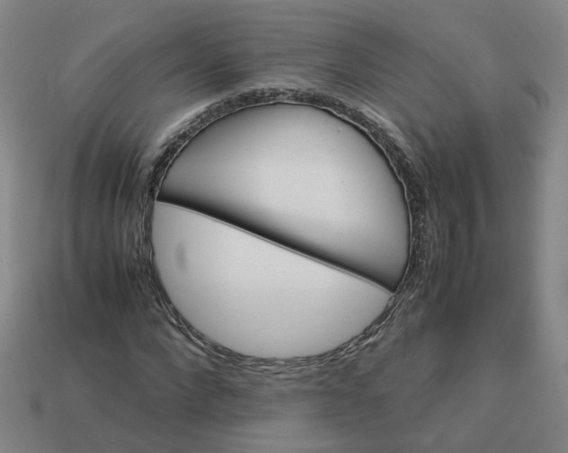 X0000113250872200910011344