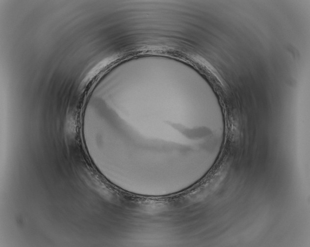 X0000113250874200910011344