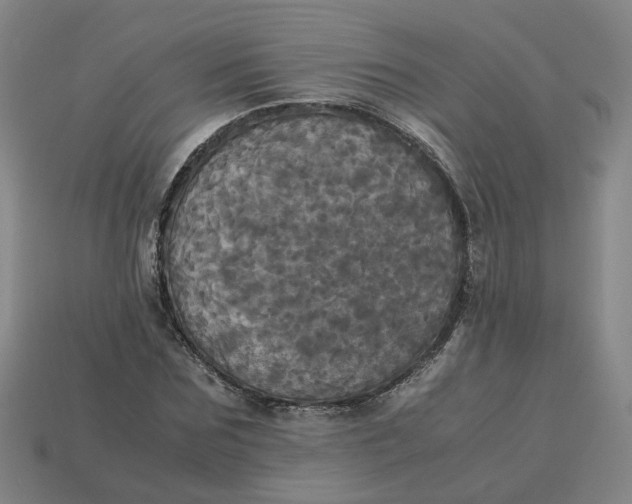 X0000113250875200910011344