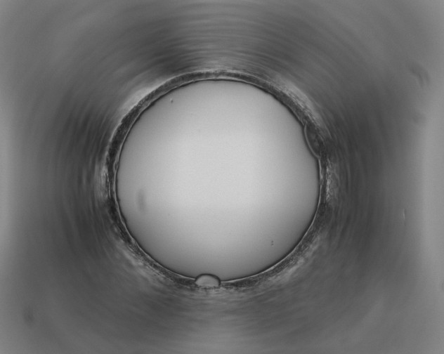 X0000113250876200910011344