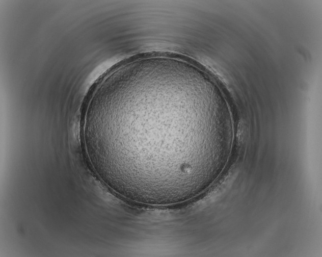 X0000113250877200910011344