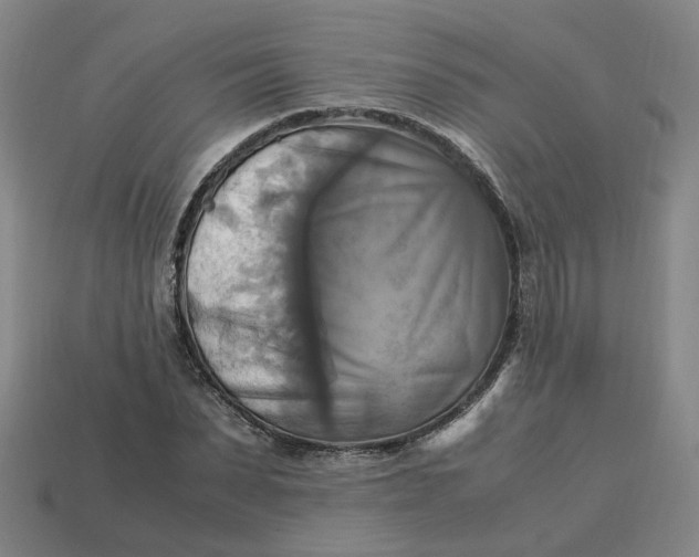 X0000113250879200910011344