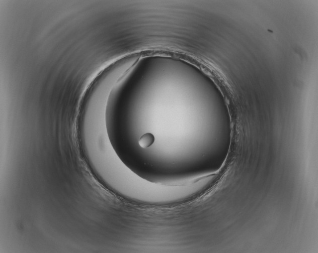 X0000113250880200910011344