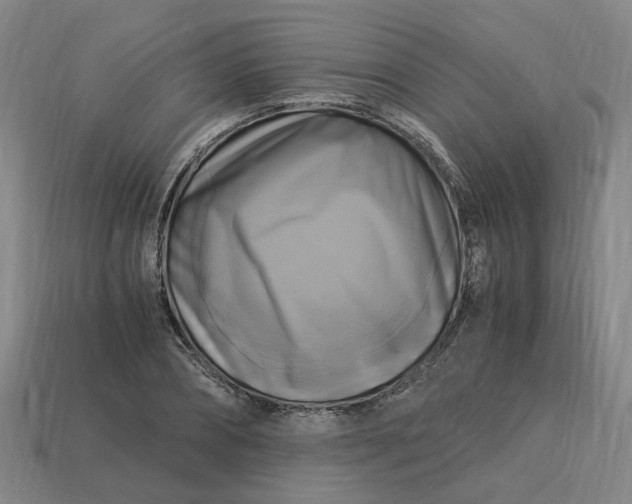 X0000113250882200910011344