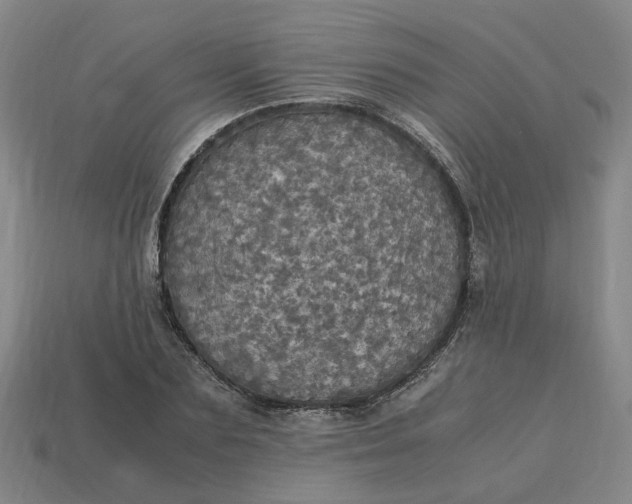 X0000113250883200910011344