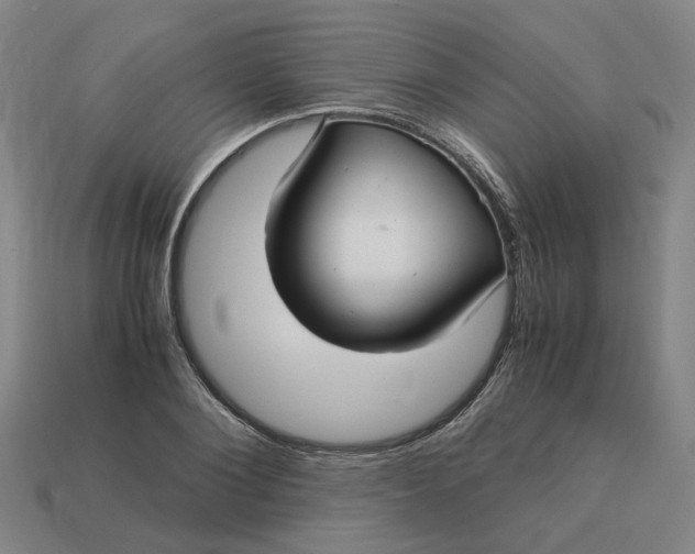 X0000113250884200910011344