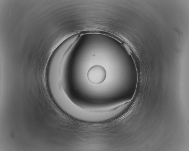 X0000113250885200910011344