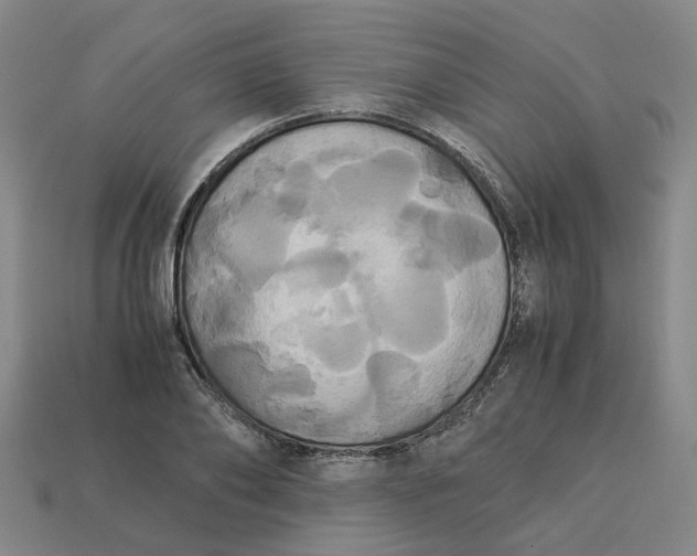 X0000113250886200910011344