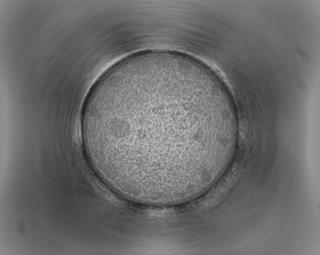 X0000113250887200910011344