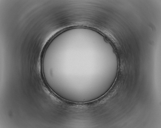 X0000113250888200910011344