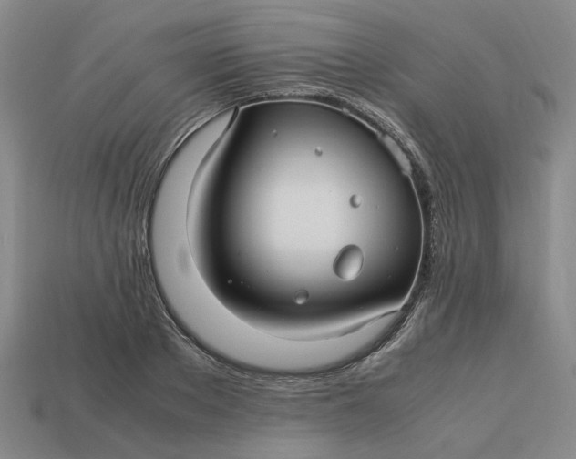 X0000113250889200910011344