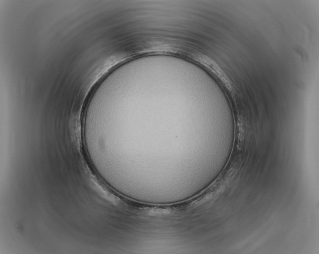 X0000113250890200910011344